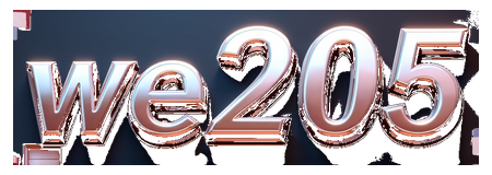 we205 logo